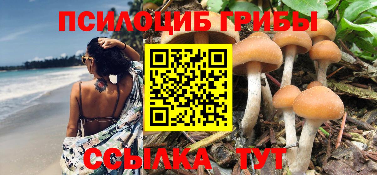 Галлюциногенные грибы ЛСД  Галлюциногенные грибы Cubensis  Вход с VPN  Аргун 